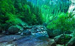 folyó hegy címlapfotó erdő