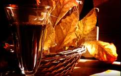 csendélet címlapfotó ital ősz bor levél