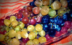Szekszárdi szőlő