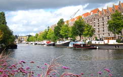 Amsterdam, Artis, beside Canal (Uitzicht VANAF terras)