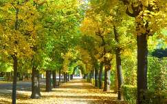 Schönbrunni ősz,Bécs