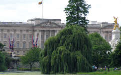 Buckingham palota, St. James park, London