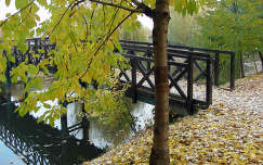 ősz fa híd tükröződés