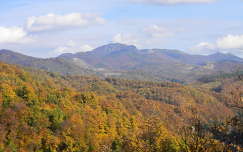 ősz hegy erdő