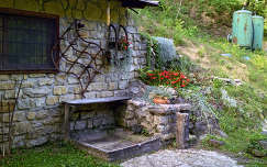 Csendélet