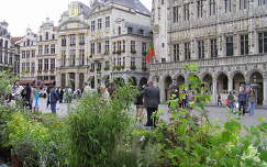 Brüsszel,Grand Place,Belgium