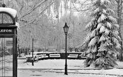 lámpa fenyő címlapfotó kertek és parkok tél