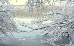 fa folyó címlapfotó tél