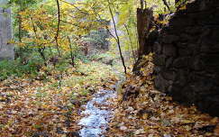 Zemplén, Zsólyomka patak ősszel