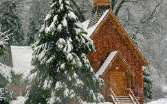 templom címlapfotó karácsony havazás tél fenyő