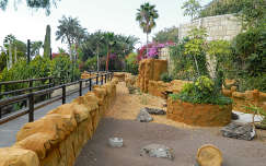 kerítés spanyolország tenerife kanári-szigetek út pálma kertek és parkok