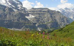 Svájc,Jungfrau