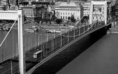 erzsébet híd budapest folyó híd fekete-fehér magyarország duna