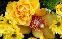 névnap és születésnap orchidea virágcsokor és dekoráció rózsa