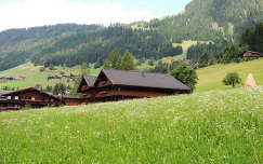 Alpbach,Ausztria