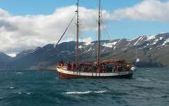 Bálnanéző hajó, Izland Husavik