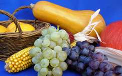 tök szőlő kukorica ősz gyümölcs termény