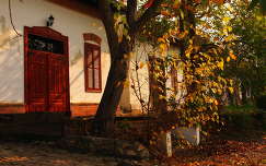 ház ősz ajtó