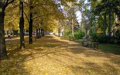 Nagyerdei sétány - Debrecen