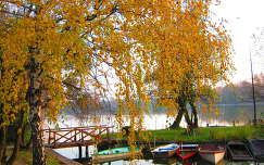 csónak ősz fa címlapfotó