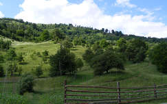 Magyarország