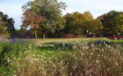 Kert, park