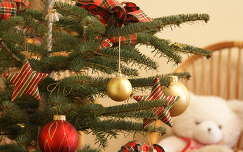 karácsonyfa karácsony címlapfotó