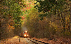 ősz sínpár vonat