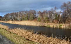 Írország