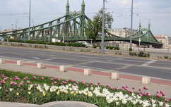 Budapest,Szabadság híd