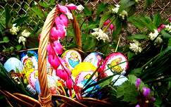 húsvét szívvirág címlapfotó tojás