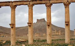 Palmüra, Szíria