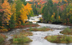 ősz patak erdő