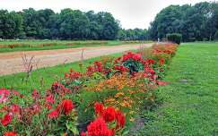 kertek és parkok margit-sziget budapest magyarország