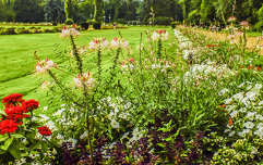 Park