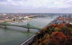 budapest ősz folyó szabadság híd híd magyarország duna