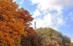 szobor ősz budapest magyarország