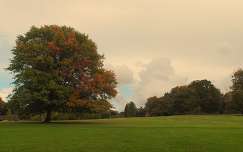 Angliai park (Green hill park)