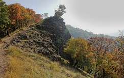 hegy út ősz erdő magyarország