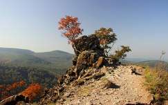 hegy címlapfotó ősz fa kövek és sziklák magyarország