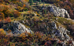 ősz kövek és sziklák címlapfotó