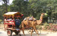 Agra