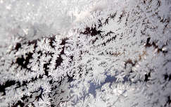 jégvirág tél címlapfotó