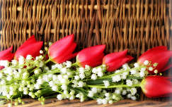 tulipán gyöngyvirág tavaszi virág tavasz virágcsokor és dekoráció