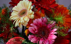 gerbera névnap és születésnap virágcsokor és dekoráció