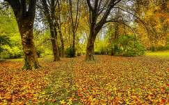 Park
