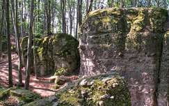 Dobogókő - Zsivány sziklák