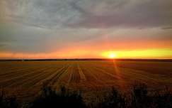 naplemente gabonaföld címlapfotó nyár