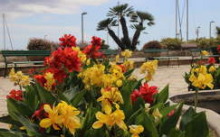 kertek és parkok spanyolország pad nyár