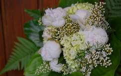 pünkösdi rózsa tavaszi virág névnap és születésnap hortenzia virágcsokor és dekoráció